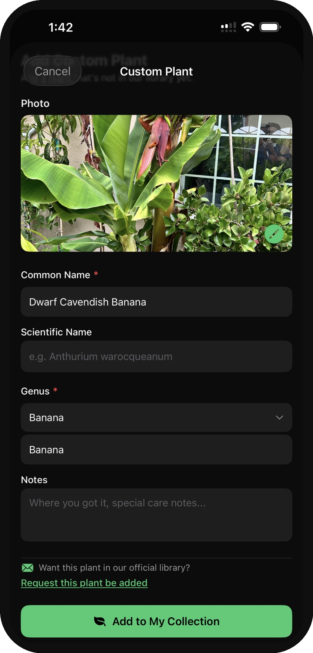 Plant care detail