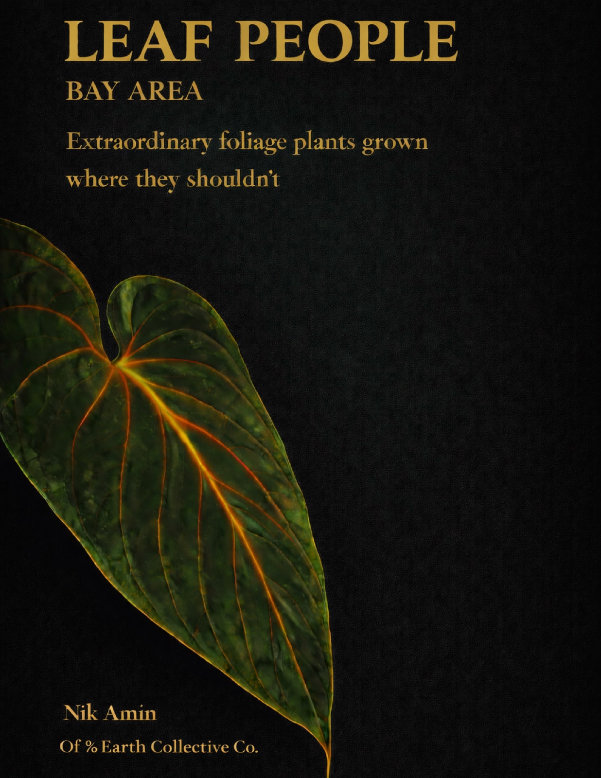 Leaf People · Bay Area — book cover