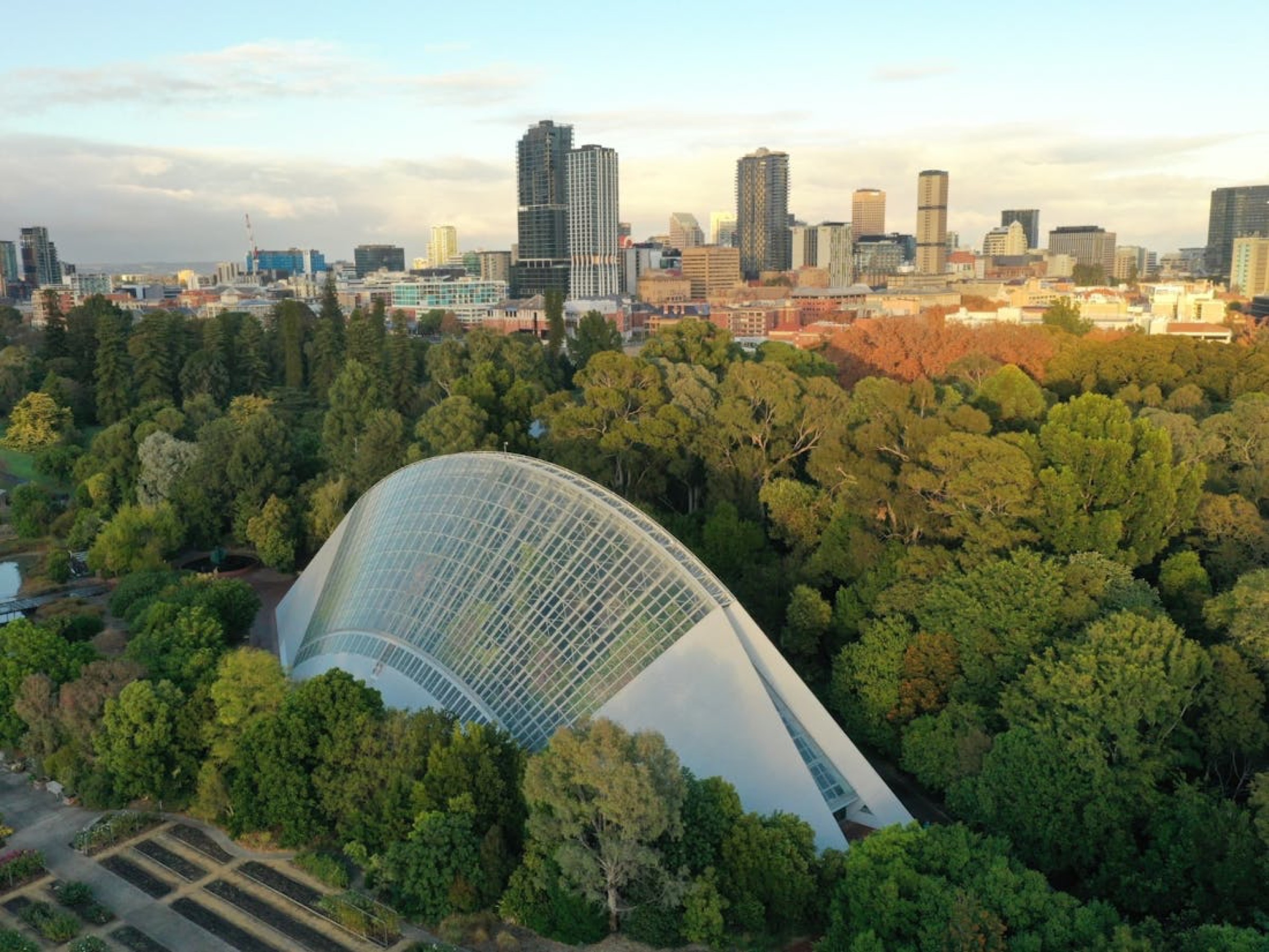 The conservatory's great glass arc above the Adelaide Botanic Garden.