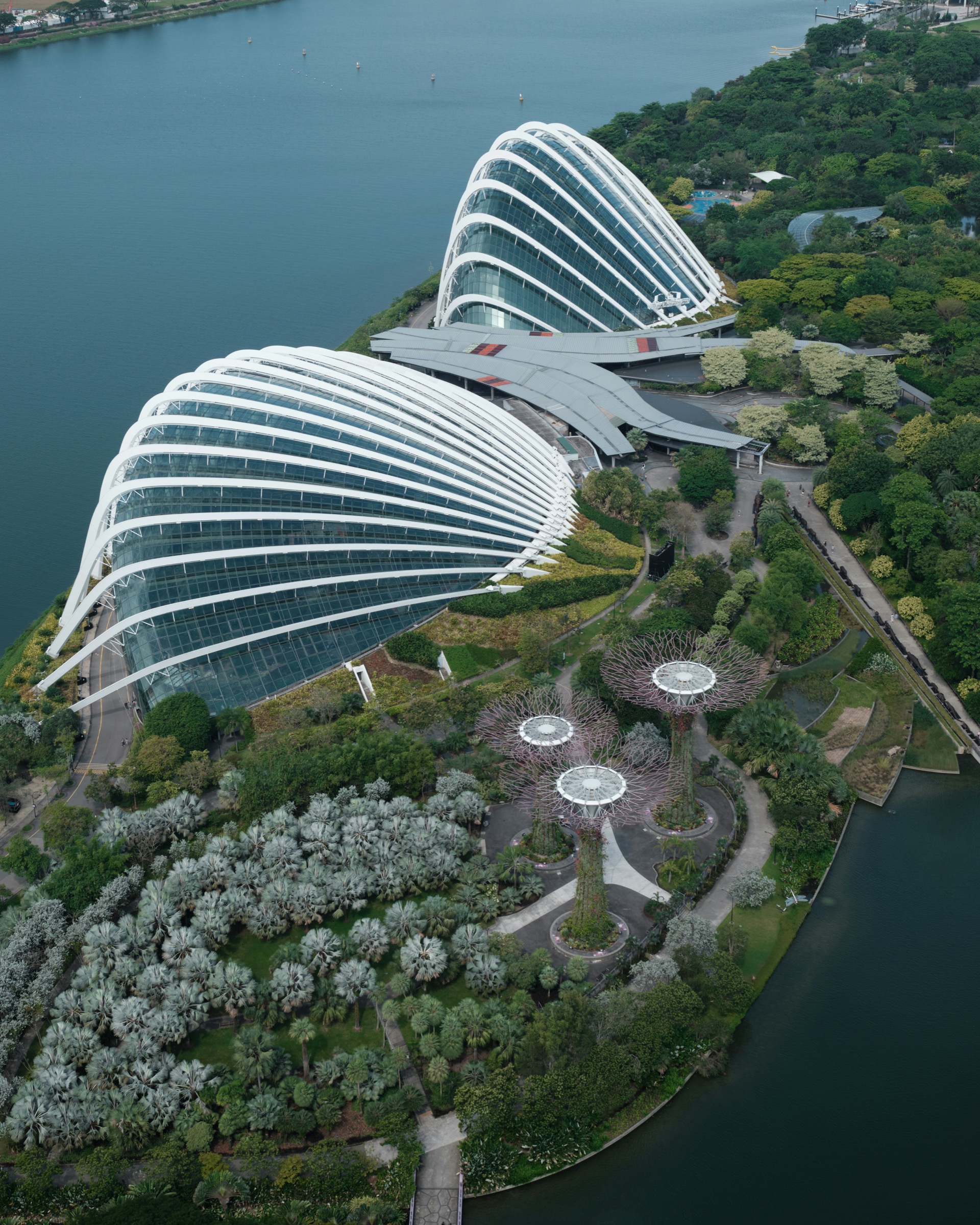 The Cloud Forest and Flower Dome from above, Gardens by the Bay.