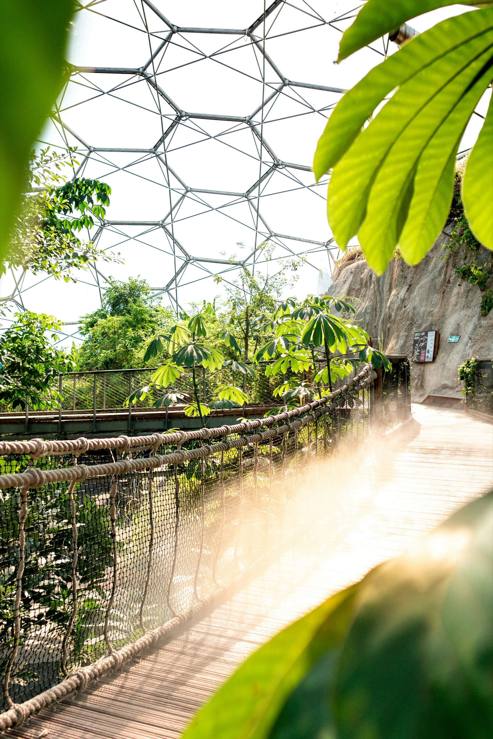 The canopy walkway beneath the Rainforest Biome's ETFE dome.