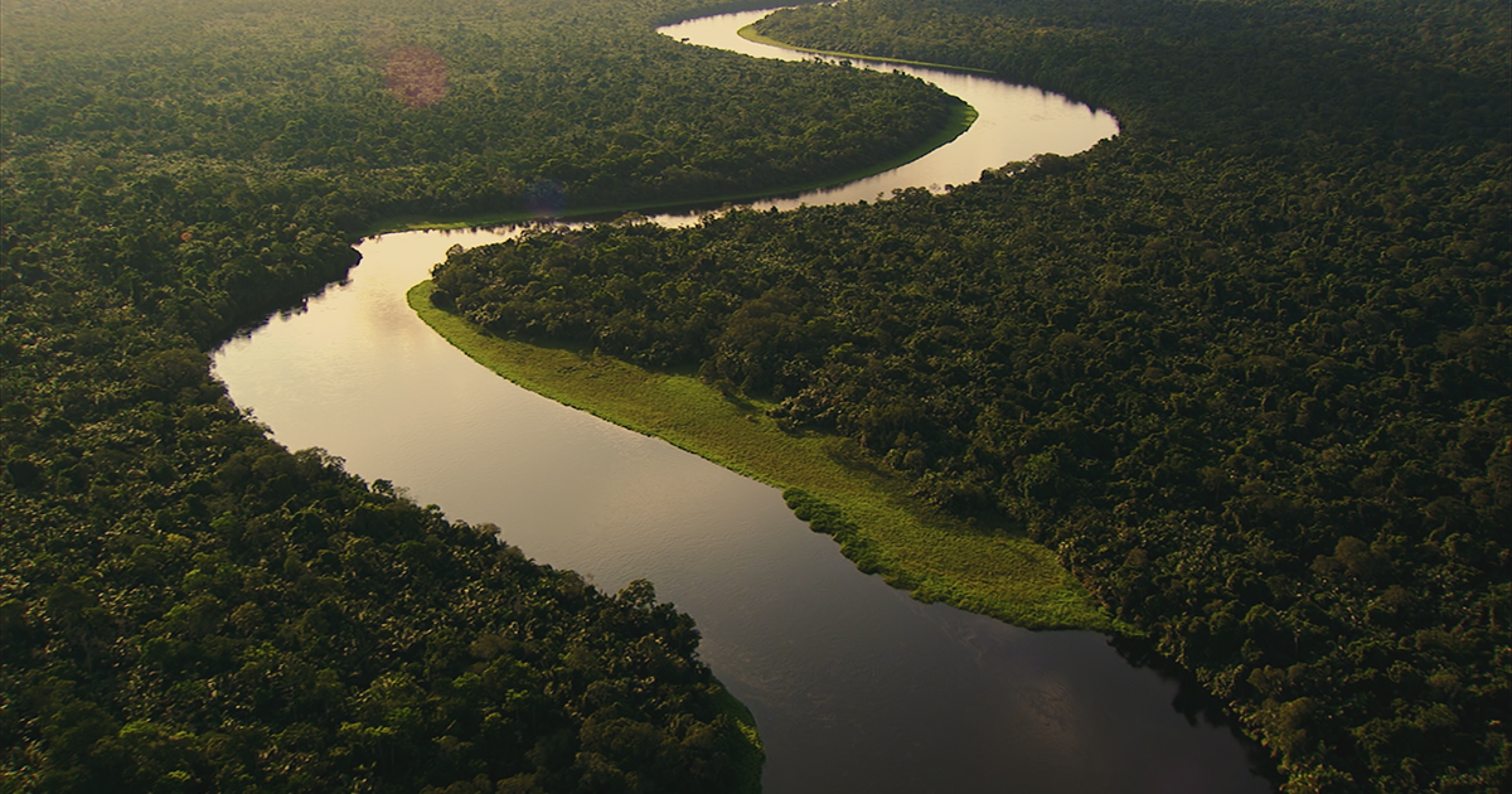 A river winds through the Congo Basin rainforest.