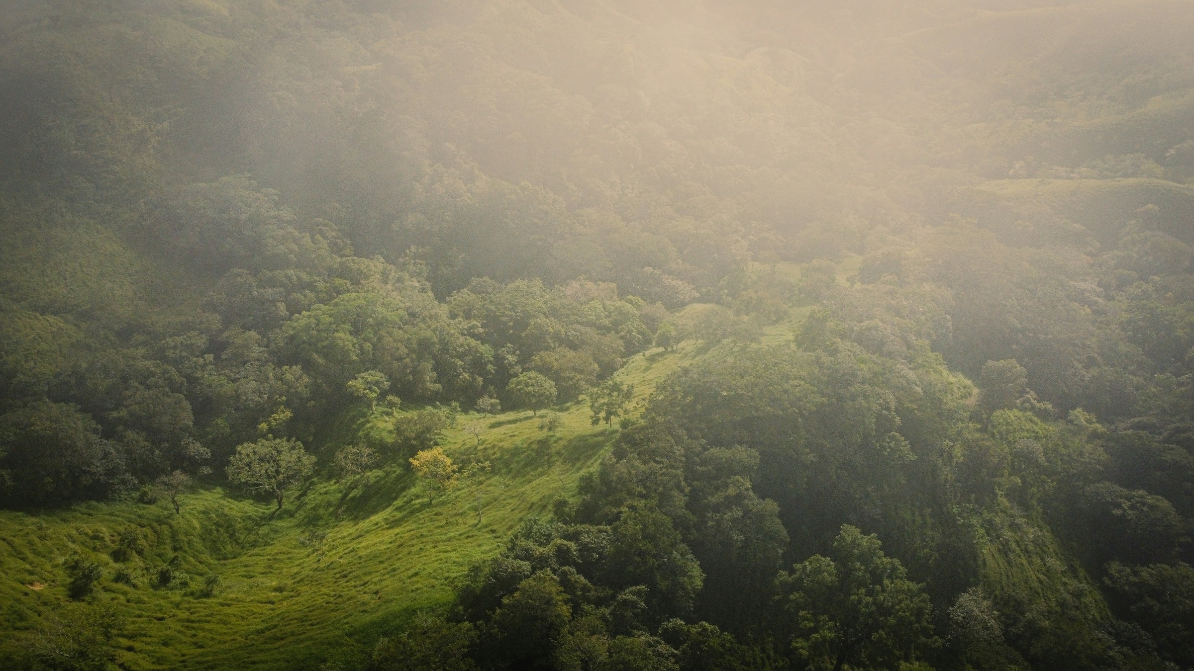 Cloud forest blankets the hills above Monteverde, Costa Rica.