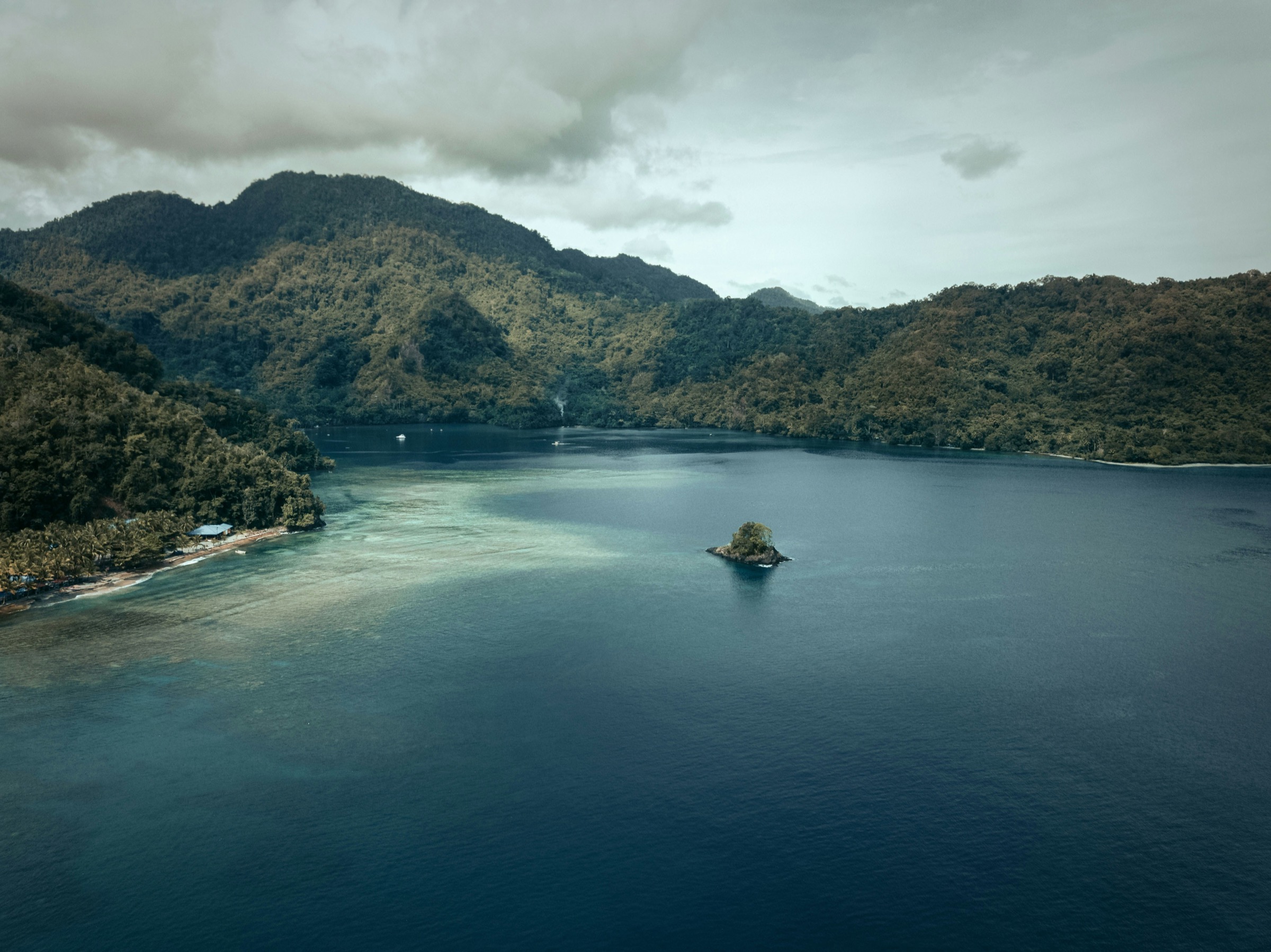 Forested coast and island-studded bay, New Guinea.